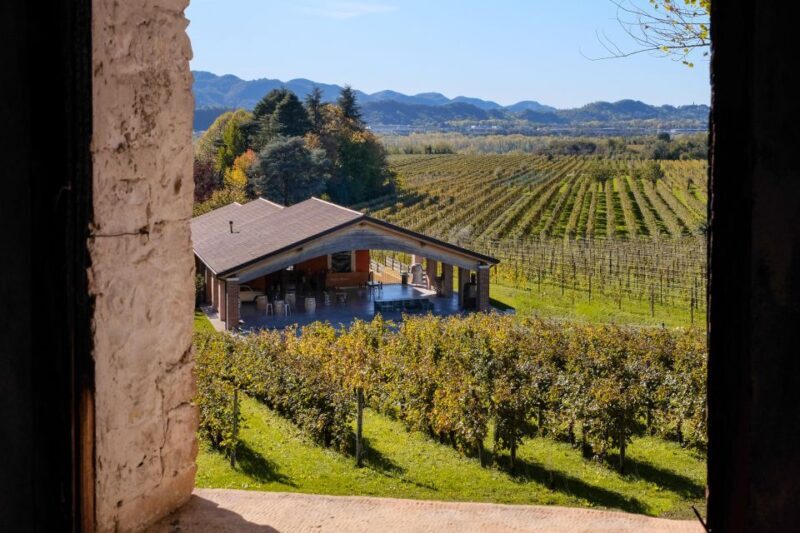 Valdobbiadene: Prosecco tasting where Art meets Wine - The Value of the Experience