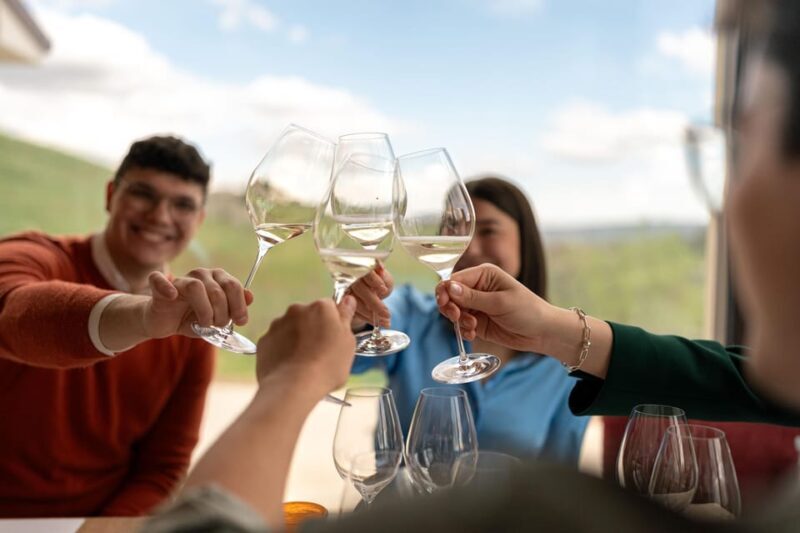 Valdobbiadene: Prosecco tasting with winery & vineyard tour - Practicalities and Tips