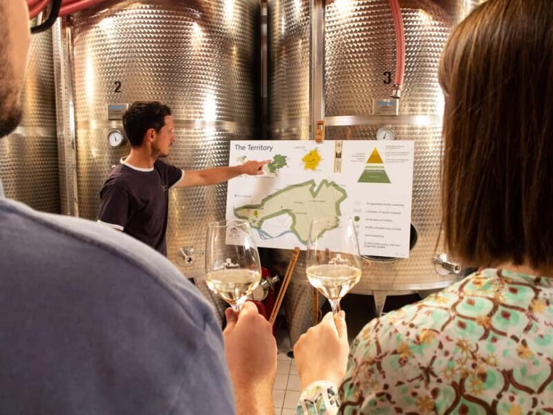 Valdobbiadene - Visit to the winery and tasting of DOCG Superiore wines - A Walk Through the Winery Experience