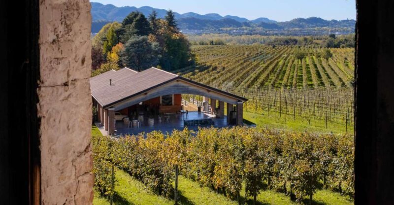 Valdobbiadene: Winery Tour with Wine and Food Tasting - Who Will Love This Tour?