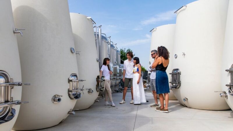 Valdobbiadene:Prosecco tasting,appetizers,winery & vineyard - The Setting and Arrival