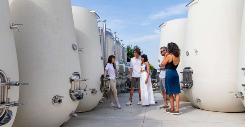 Valdobbiadene:Prosecco tasting,appetizers,winery & vineyard - The Guided Tasting and Educational Component