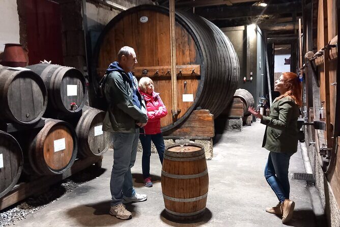 VALE DOURO: Luxury Private Wine Tour, Winery Tour and Cruise - Final Thoughts