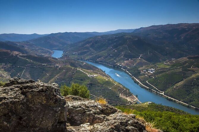 VALE DOURO: Premium Wine, Lunch Wine & Private Boat Tour - Explore the Douro Valley with a Premium Wine, Lunch & Private River Cruise Tour