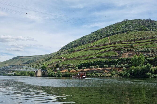 VALE DOURO: Premium Wine, Lunch Wine & Private Boat Tour - Who Should Consider This Tour?