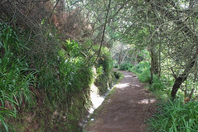 Vale Paraíso - Rochão (Half Day Walk) - A Detailed Look at the Vale Paraíso - Rochão Walk