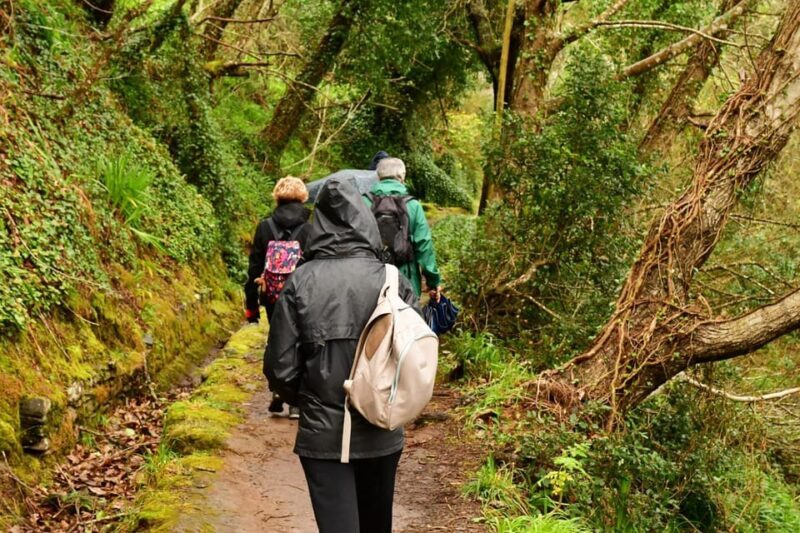 Vale Paraíso Rochão Madeira Island Walk - Final Thoughts: Why Consider This Tour?