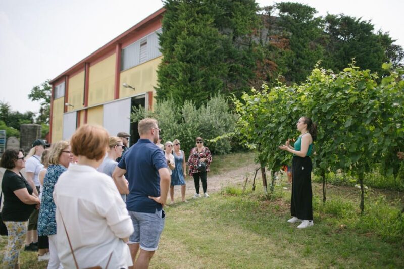 Valeggio: "Perlage d'Autore," bubbles of excellence and guided tour - Veneto’s Sparkling Secrets: “Perlage dAutore” at Corte Fornello