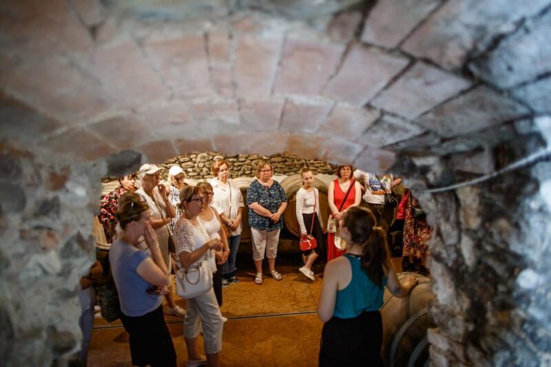 Valeggio: Summer Sips - 3 young wines with guided winery tour. - A Close Look at the Experience