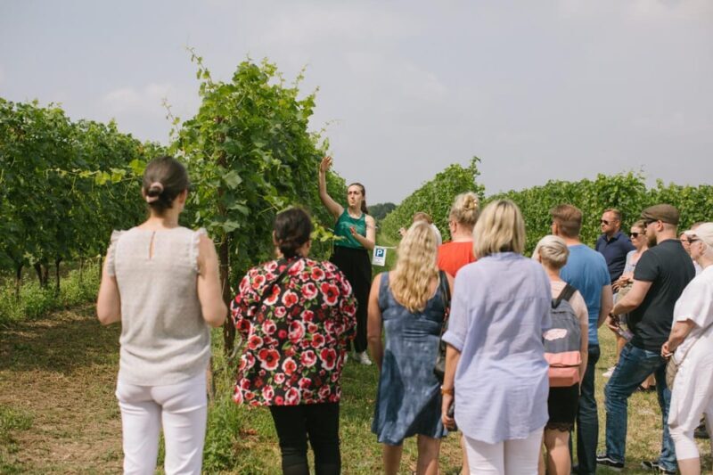 Valeggio: Summer Sips - 3 young wines with guided winery tour. - Final Thoughts