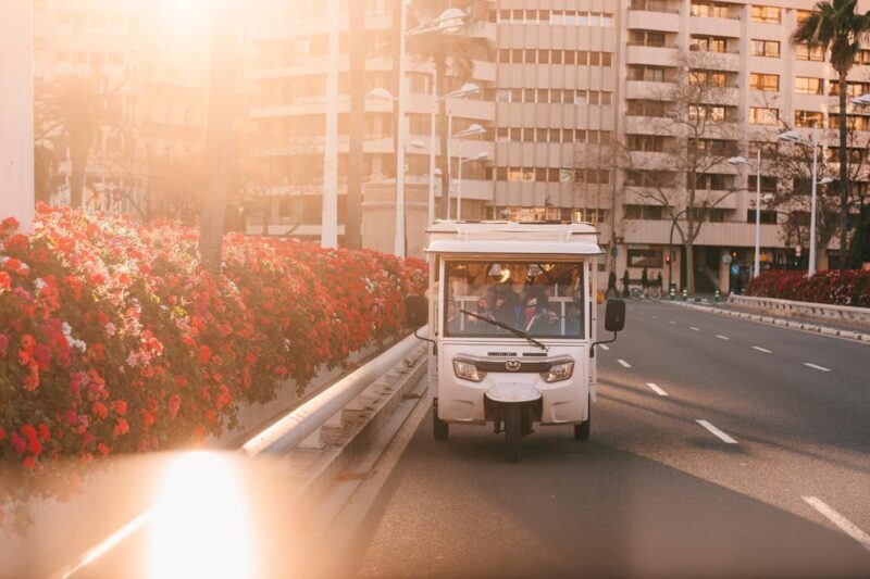 Valencia 1 hour by TukTuki: Essential and Private Tour - Final Thoughts: Who Will Love This Tour?