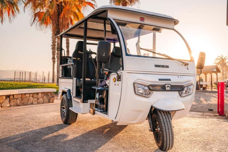Valencia: 1-hour Private Tuk Tuk Tour - Key Points
