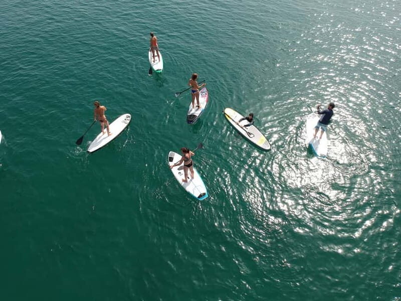 Valencia: 1 Hour Stand Up Paddle Board Lesson - Valencia: 1 Hour Stand Up Paddle Board Lesson – An Authentic Water Adventure