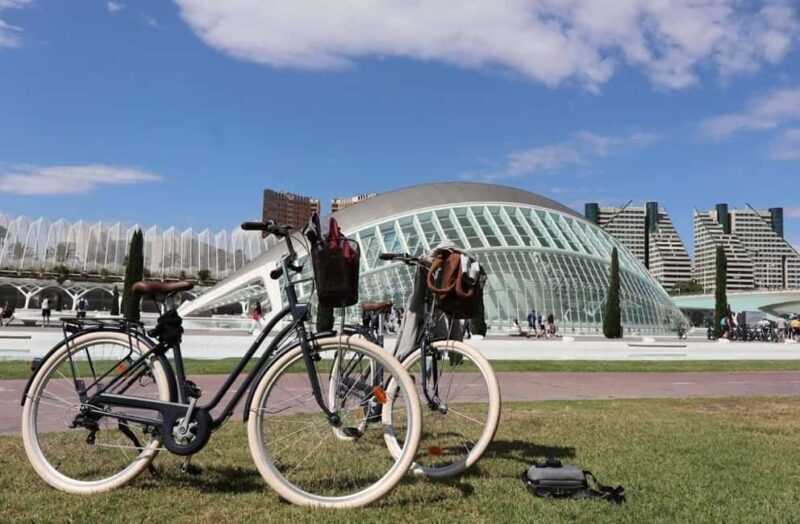 Valencia: 24-Hour Bike Rental - Who Will Love This Experience?