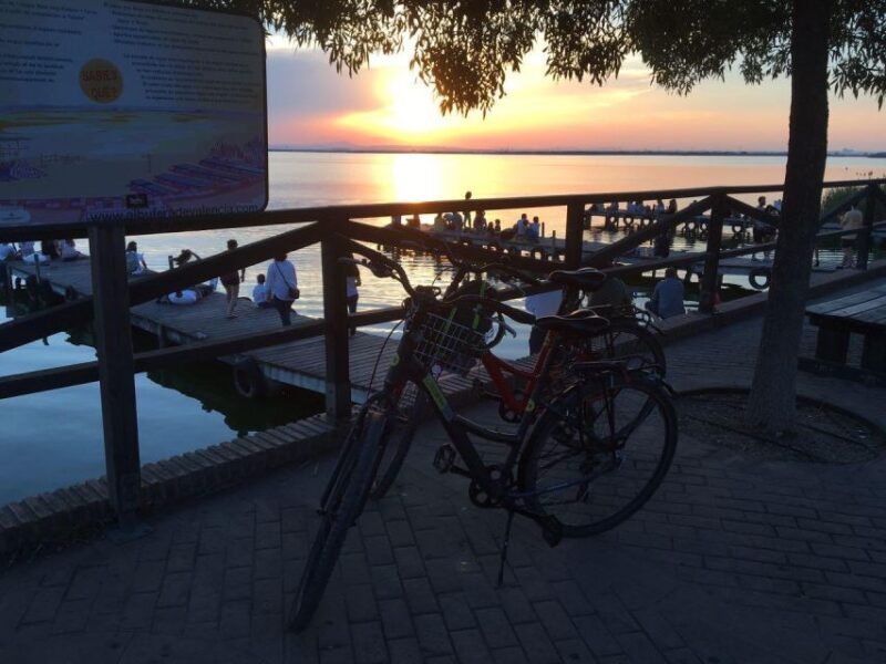 Valencia: Albufera Natural Park Bike and Boat Tour - Valencia: Albufera Natural Park Bike and Boat Tour — A Balanced Look at Nature and Culture
