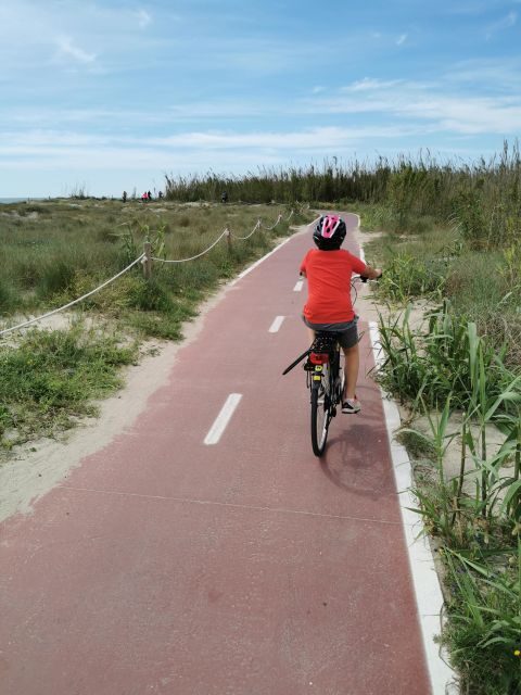 Valencia: Albufera Natural Park Bike and Boat Tour - Why This Tour Offers Good Value