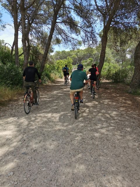 Valencia: Albufera Natural Park Bike and Boat Tour - Final Thoughts