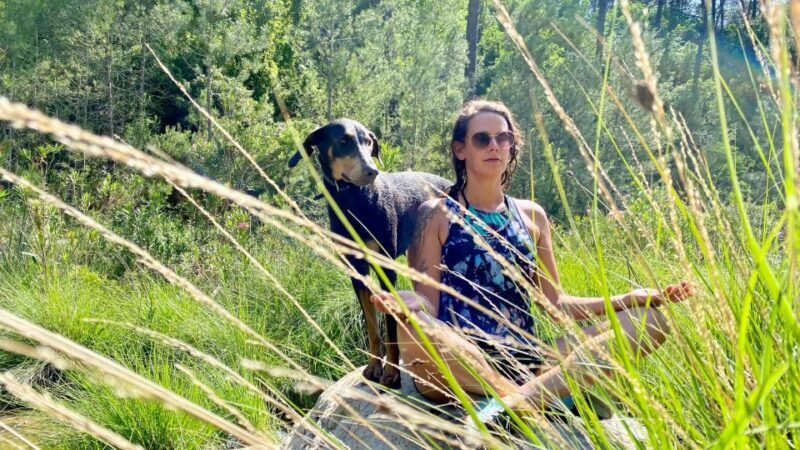 Valencia: Amazing river hike by Friar River Canyon in Bicorp - Why This Tour Is Worth It