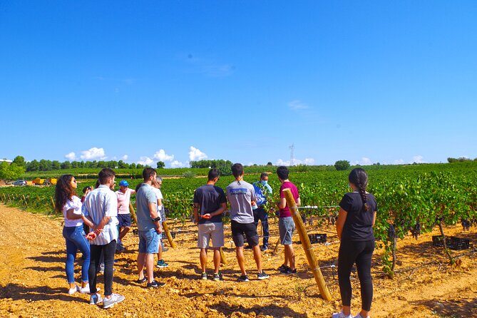 Valencia: Barrels and dishes of typical local Gastronomy - Valencia: Barrels and dishes of typical local Gastronomy - A Detailed Tour Review