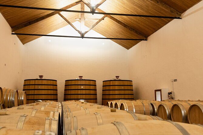 Valencia: Barrels and dishes of typical local Gastronomy - Frequently Asked Questions