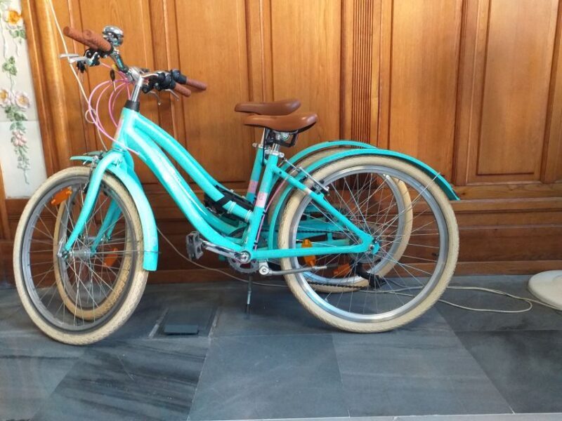 Valencia: Bike Rental for 1 to 4 Days - Key Points