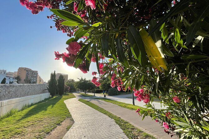 Valencia Bike Tour: Top Sights and City of Arts & Sciences - Exploring Valencia on Two Wheels
