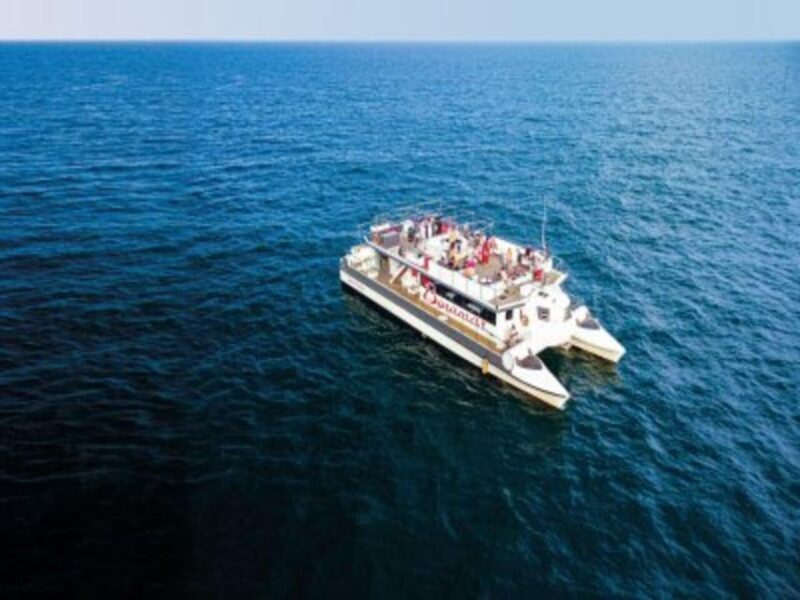Valencia: Boat Trip on the Valencian coast with lunch - A Detailed Look at the Valencia Coastal Catamaran Experience