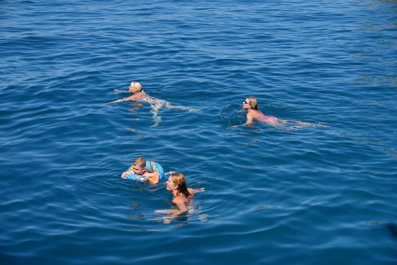 Valencia: Catamaran Adventure with Swimming Stop - Who Will Love This Tour?