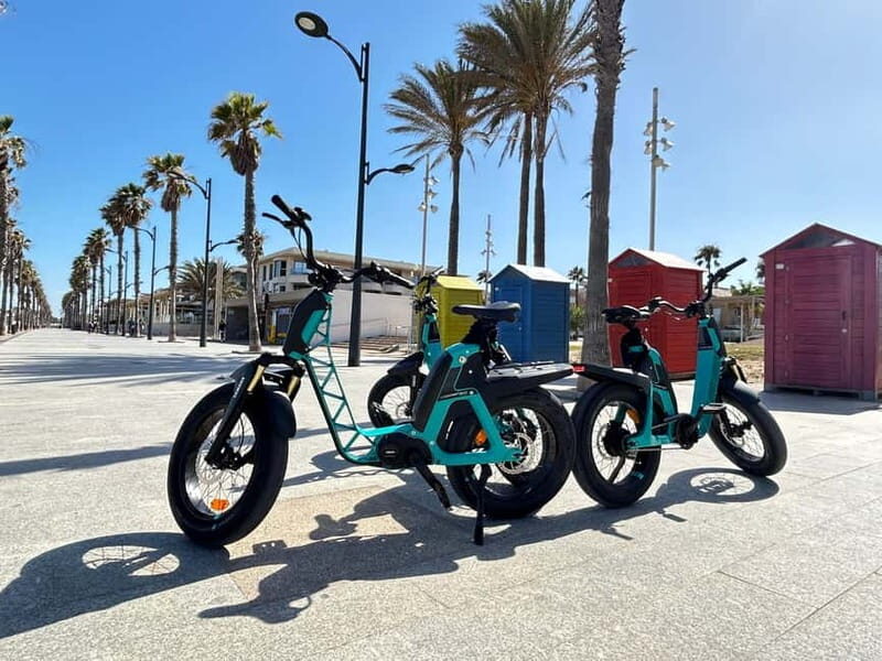 Valencia: E-bike Tour, Beaches, & City of Arts and Sciences - What’s Included & What to Expect