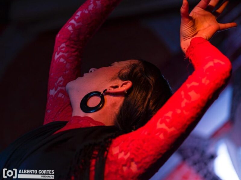Valencia: Flamenco at Toro y La Luna with Drinks or Dinner - Who Will Love This Experience?