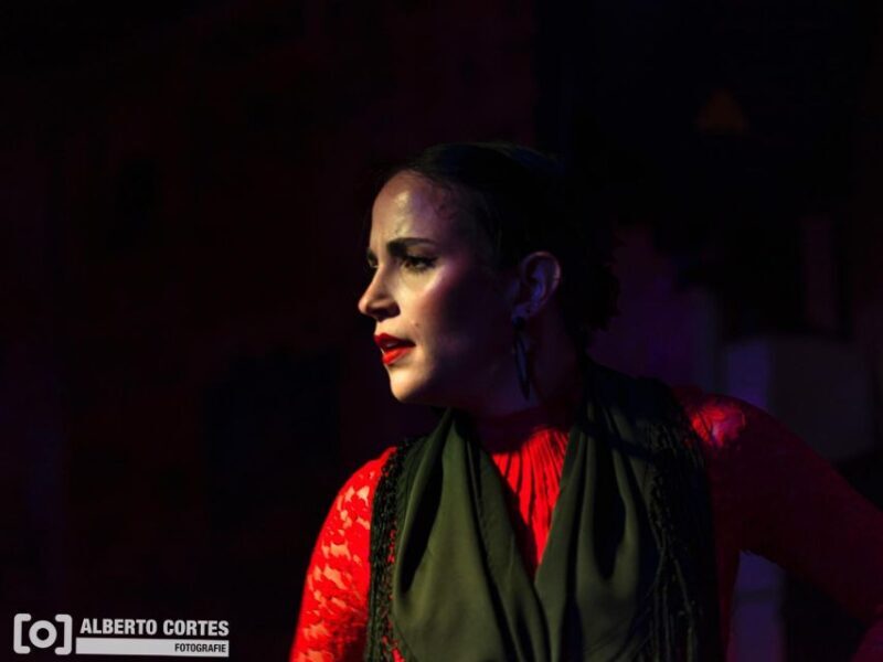 Valencia: Flamenco at Toro y La Luna with Drinks or Dinner - The Sum Up
