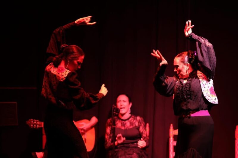 Valencia: Flamenco Show at Ca Revolta Theater - Final Thoughts
