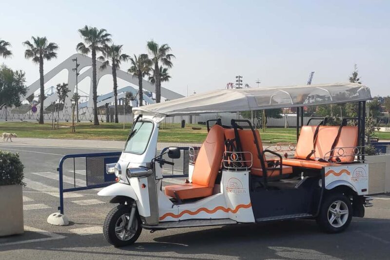 Valencia: Full Tuk Tuk Tour (2h) - Authentic Feedback from Travelers