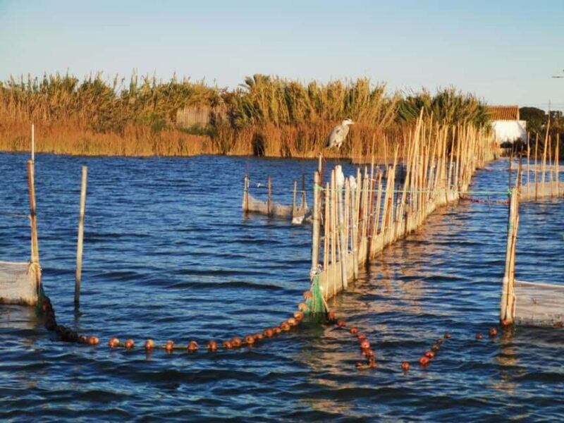 Valencia: Guided Lake Albufera Boat Ride and Barraca Tour - A Detailed Look at the Lake Albufera Tour Experience