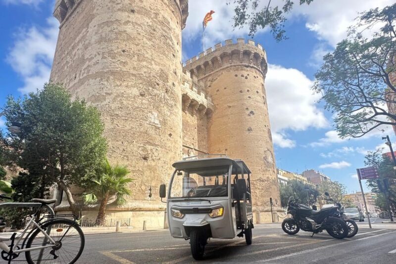 Valencia: Historical Tour by Tuk Tuk 1H - Who Should Take This Tour?