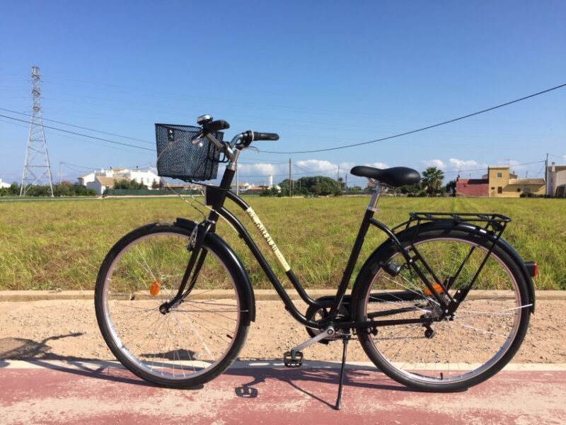 Valencia: Horchata Bike Tour - The Experience in Detail: A Balanced Look at the Itinerary