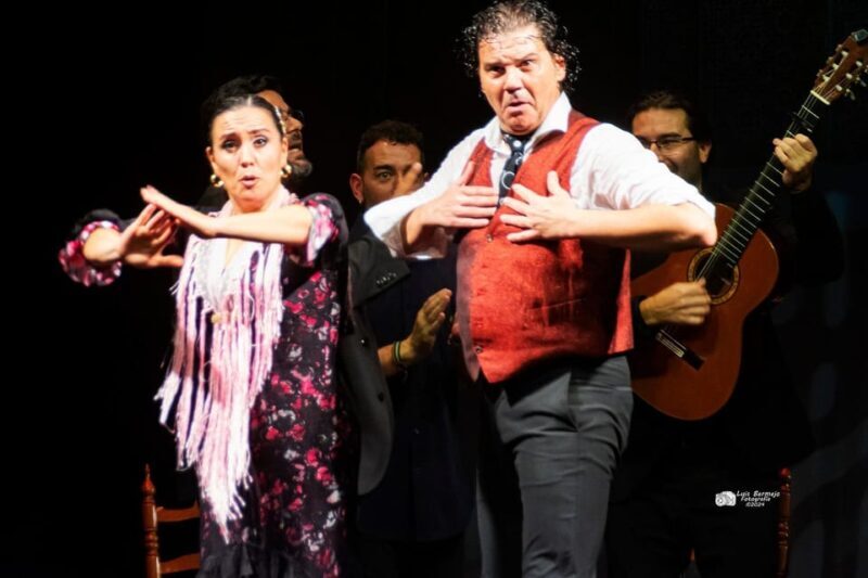 Valencia: New Flamenco Show in the Most Emblematic Theater of the City - The Practical Details