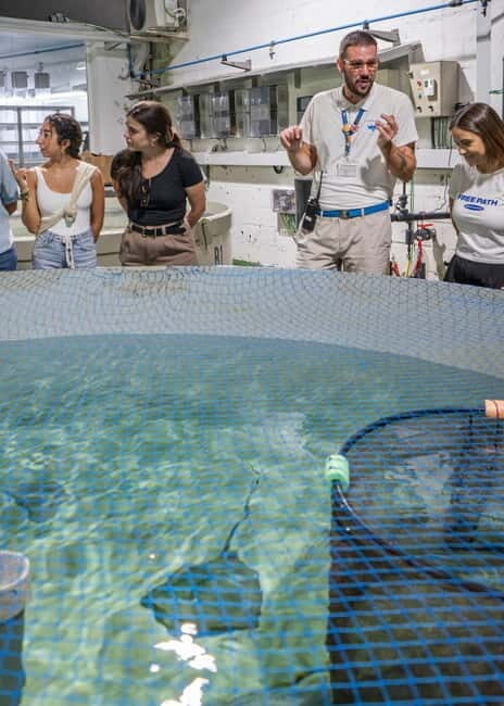 Valencia Oceanogràfic Entry with Backstage tour in Spanish - Discover the Secrets Behind Europes Largest Aquarium: Valencias Oceanogràfic Backstage Tour