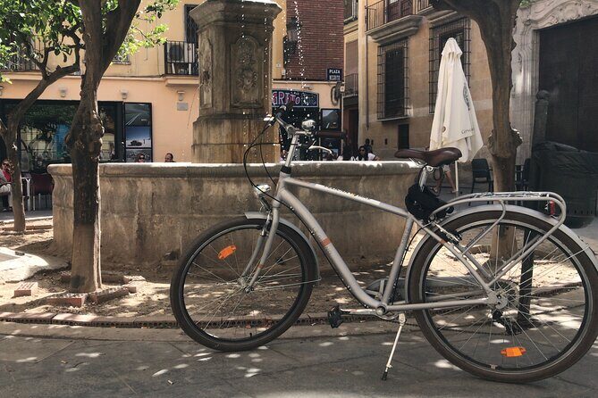 Valencia Old Town Private Tour by Bike or Electric Ride - Practical Tips for Making the Most of Your Tour