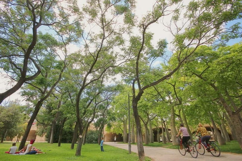 Valencia Parks: Private Tour on Bicycle, E-Bike or E-Step - A Cozy Ride Through Valencia’s Greenest Corners: Private Bike Tour on E-Bike, Bicycle, or E-Step