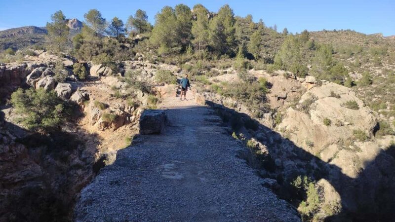 Valencia: Peña Cortada Aqueduct Guided History Hike - In-Depth Review: A Walk Through Ancient Engineering and Nature