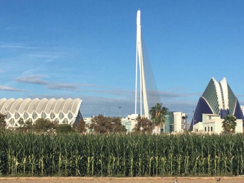 Valencia: Private 4-Hour Shore Excursion - FAQs