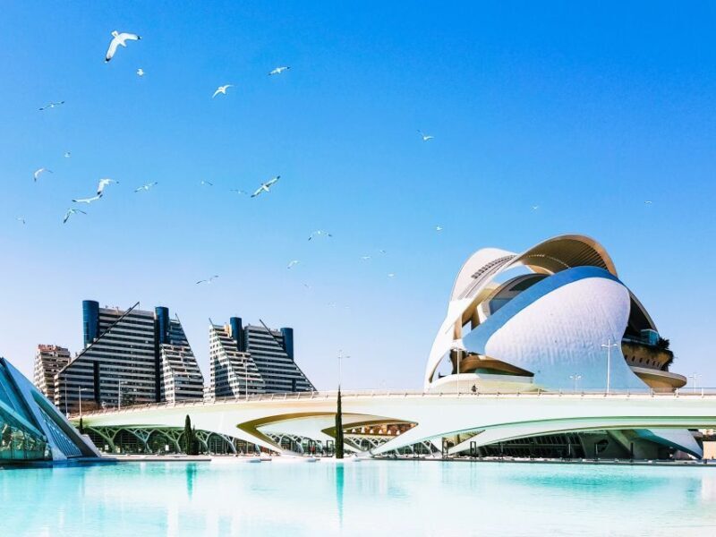 Valencia: Private 4-Hour Walking Tour with Cathedral - Who Should Consider This Tour?