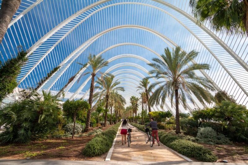 Valencia: Private City Tour on Bike with Drink Stop - Final Thoughts