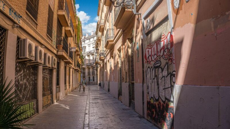 Valencia - Private Historic walking tour - Considerations