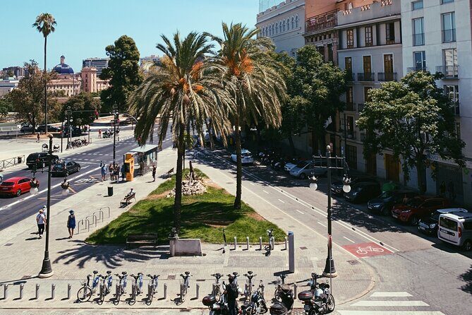 Valencia: Private Tour with a Local - Practical Tips for Your Private Valencia Tour