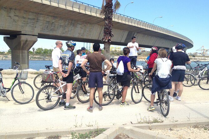 Valencia: Road to La Albufera Private Bike Tour - Discovering Valencia’s Natural Oasis: The Road to La Albufera Private Bike Tour