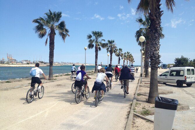 Valencia: Road to La Albufera Private Bike Tour - The Value of This Experience