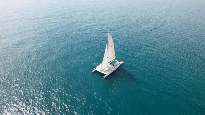 Valencia: Sailing Catamaran with Swimming & Optional DJ - The Experience: What You Can Expect on the Water