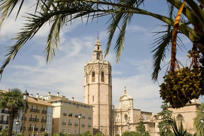 Valencia Segway Tour with Bike Rental - Key Points